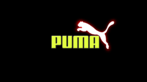 Download puma wallpaper HD