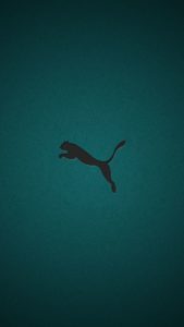 Top puma wallpaper 4k Download