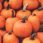 Top pumpkin wallpaper 4k Download