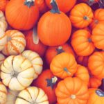 Download pumpkin wallpaper HD