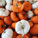 Top pumpkin wallpaper Download