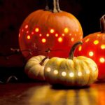 Top pumpkin wallpaper HD Download