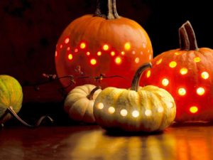 Top pumpkin wallpaper HD Download