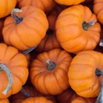 Top pumpkin wallpaper free Download