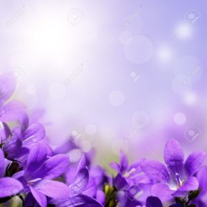 Top purple flower background 4k Download