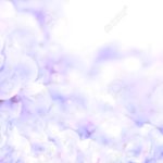 Top purple flower background Download