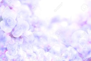 Top purple flower background Download