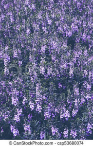 Top purple flower background Download