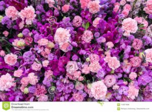 Download purple flower background HD