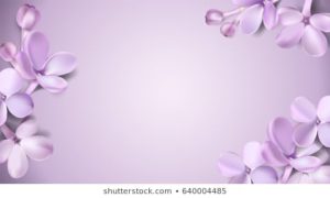 Download purple flower background HD