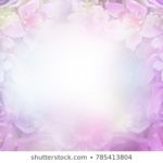 Top purple flower background 4k Download