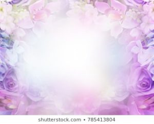 Top purple flower background 4k Download