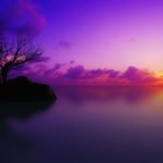 Top purple sunset background 4k Download