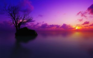 Top purple sunset background 4k Download