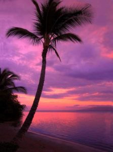 Top purple sunset background HD Download