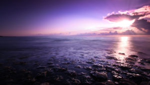 Top purple sunset background free Download