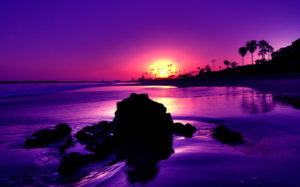 Top purple sunset background HD Download