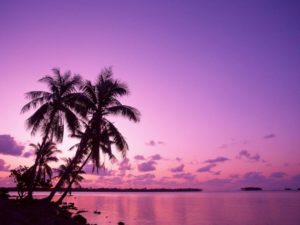 Download purple sunset background HD