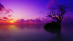 Top purple sunset background 4k Download