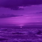 Top purple wallpaper HD Download