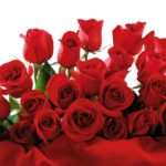 Top rose bouquet wallpaper free Download