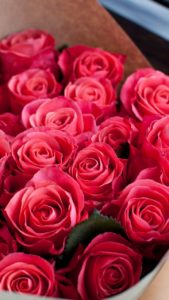 Top rose bouquet wallpaper Download