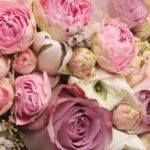 Top rose bouquet wallpaper HD Download