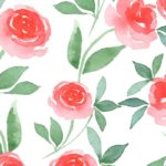 Download rose wallpaper HD