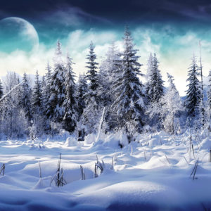 Top seasonal wallpaper for ipad HD Download