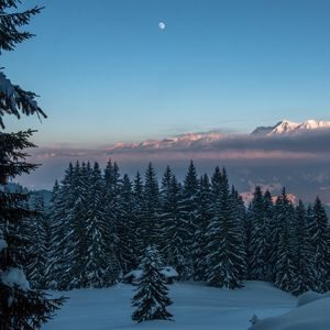 Top seasonal wallpaper for ipad HD Download