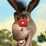 Top shrek and donkey wallpaper HD Download