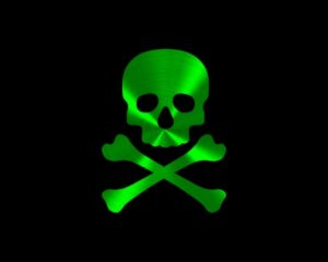 Download skull green wallpaper HD