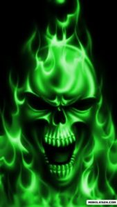 Download skull green wallpaper HD