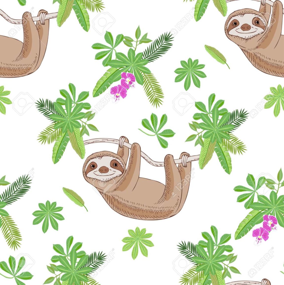 Download sloth background HD
