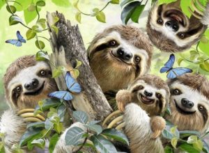 Download sloth background HD