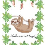 Top sloth background Download
