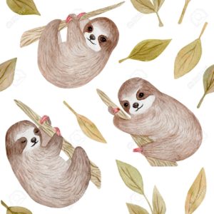 Download sloth background HD