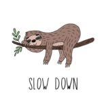 Top sloth background 4k Download