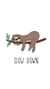 Top sloth background 4k Download