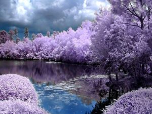 Top spring screensaver wallpaper Download