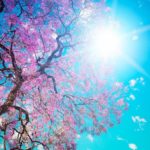 Top spring wallpaper pc 4k Download