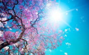 Top spring wallpaper pc 4k Download