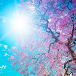 Top spring wallpaper pc HD Download