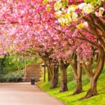 Top spring wallpaper pc 4k Download