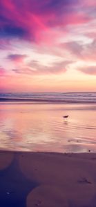 Top sunset beach phone wallpaper 4k Download