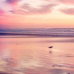 Top sunset beach phone wallpaper 4k Download