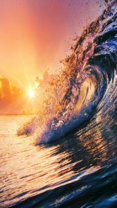 Top surf wallpaper for walls HD Download