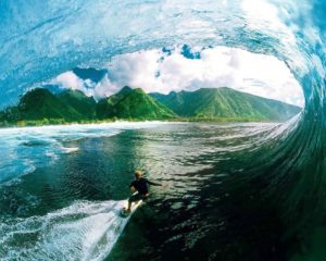 Top surf wallpaper for walls Download