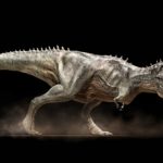 Download t rex skeleton wallpaper HD