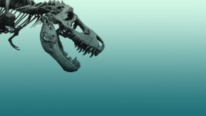 Top t rex skeleton wallpaper HD Download